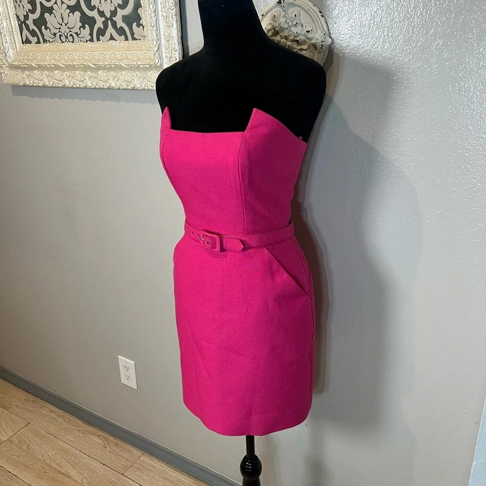Victor Costa Vibrant Pink Strapless Sheath Dress with Belt - Picture 7 of 12
